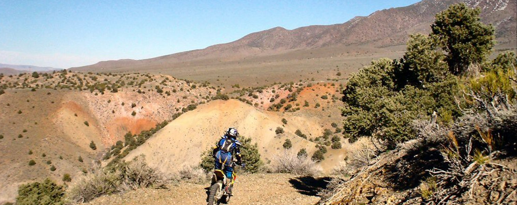 #21 Pine Nut Mountains